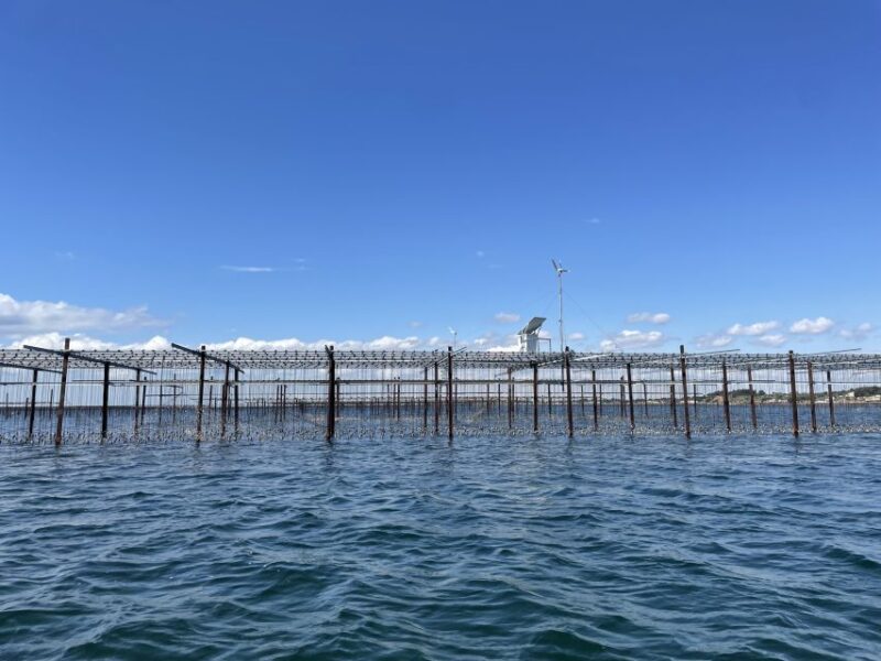 Montpellier: Day Trip With Boat Ride, Oysters, and Wine - Educational Insights