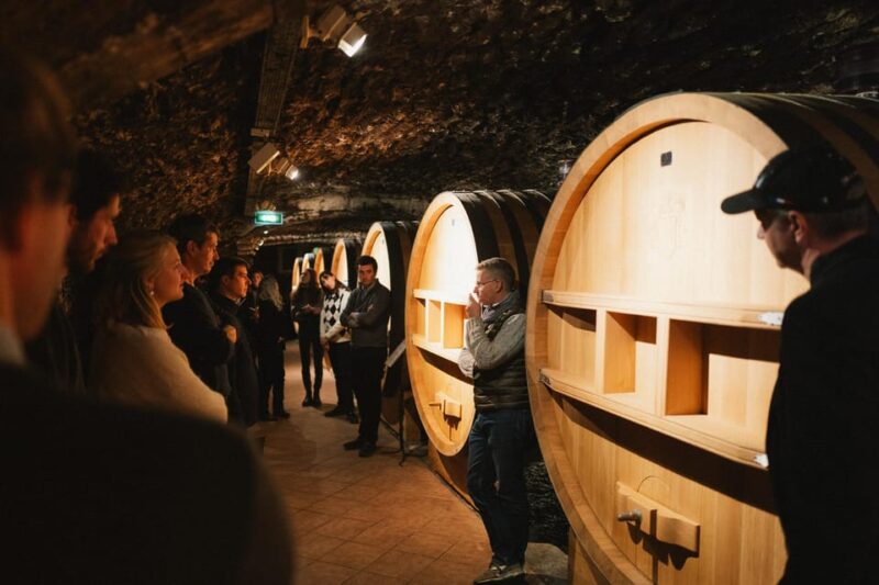 Montpellier: Full Day Truffles and Chateauneuf-Du-Pape Wines - Itinerary Details