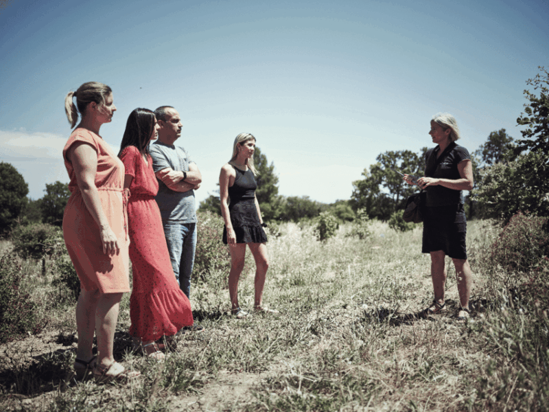 Montpellier: Full Day Truffles and Chateauneuf-Du-Pape Wines - Tasting of Truffle-Infused Dishes