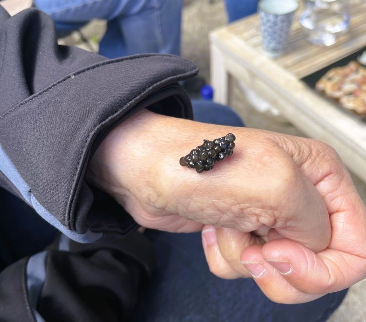 Montpellier: Half Day Wine and Caviar St Guilhem Le Désert - Highlights of the Experience