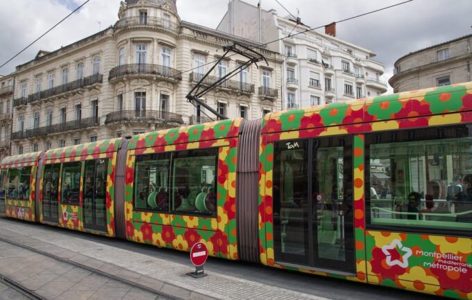 Montpellier Private Guided City Tour - Vibrant Street Art Scene