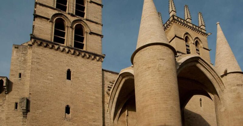 Montpellier - Private Historic Walking Tour - Pricing and Group Size