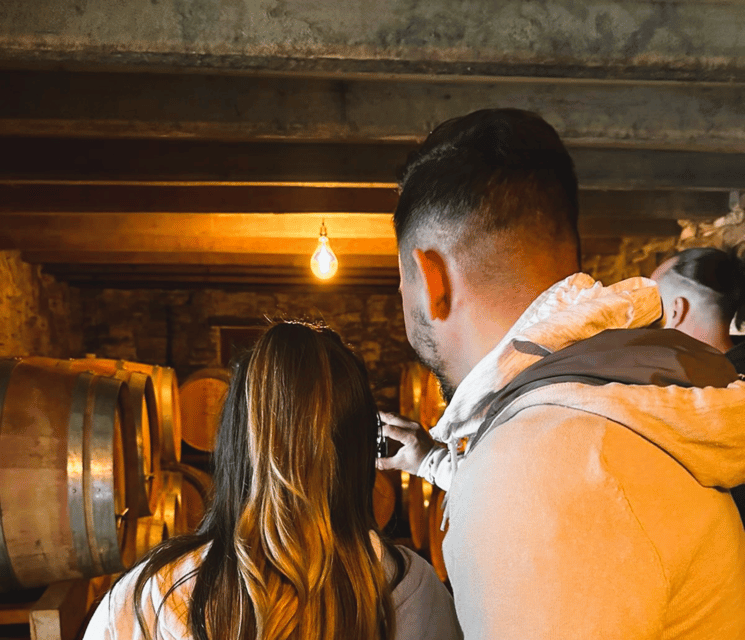 Montpellier: Wine Tour Pic St Loup - Key Points