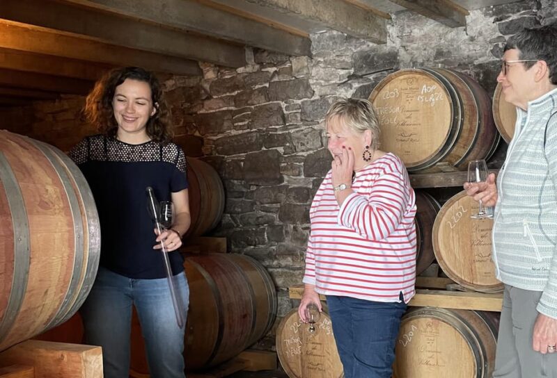 Montpellier: Wine Tour Pic St Loup - Experience Highlights
