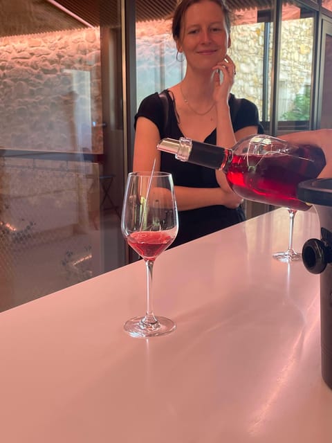 Montpellier: Wine Tour Pic St Loup - Wine Production Secrets in the Cellar