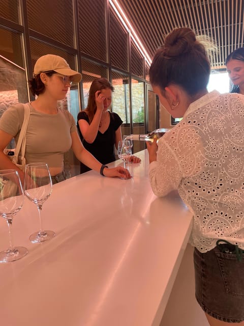 Montpellier: Wine Tour Pic St Loup - Unique Wine Options