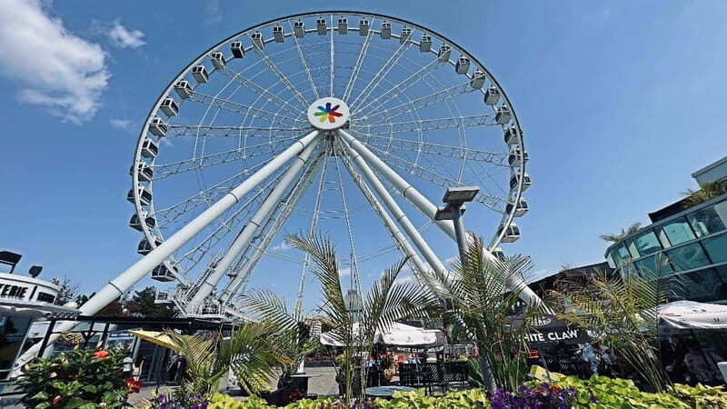 Montreal 3-Hour Private Car Tour with Expert Local Guide - Why the Price Offers Good Value