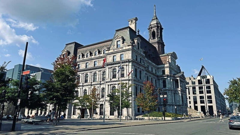 Montreal 3-Hour Private Car Tour with Expert Local Guide - What to Expect During the Tour