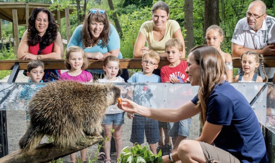 Montreal: 5 Attractions Pass - Exploring Montreals Top Sites