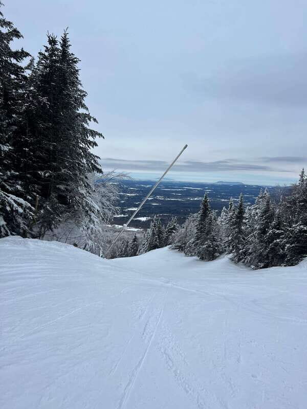 Montreal: Canadian Forest Guided Tour by Snowmobile - Final Thoughts