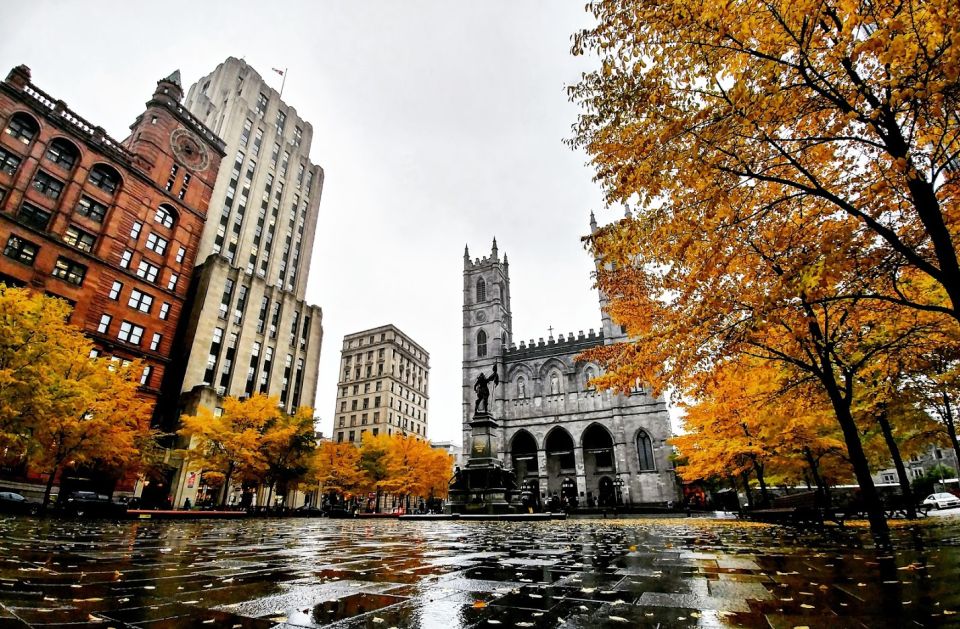 Montreal: Explore Old Montreal Small-Group Walking Tour - Parting Gift