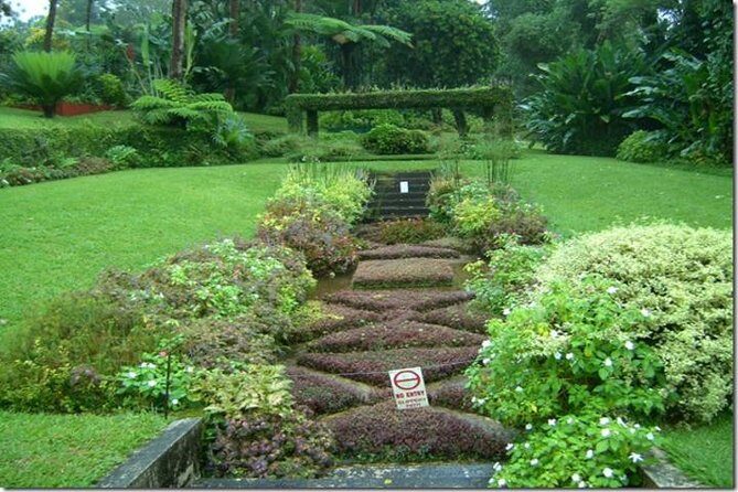 Montreal Gardens Tour with Trubb Taxi Tours - Transportation and Logistics