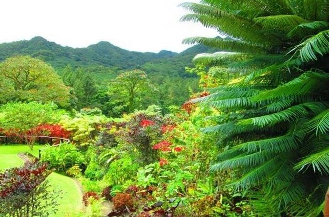 Montreal Gardens Tour with Trubb Taxi Tours - Value and Authenticity