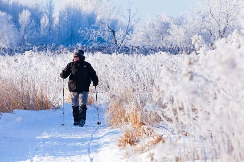 Montreal: Îles-de-Boucherville Entry Ticket and Snowshoeing - Why This Tour is a Solid Choice