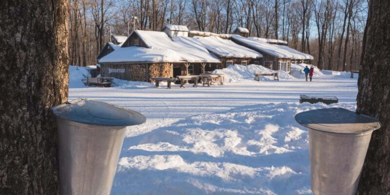 Montreal: Maple Syrup Tour with Sugar Shack & Local Cuisine - Authentic Experiences and Guest Feedback