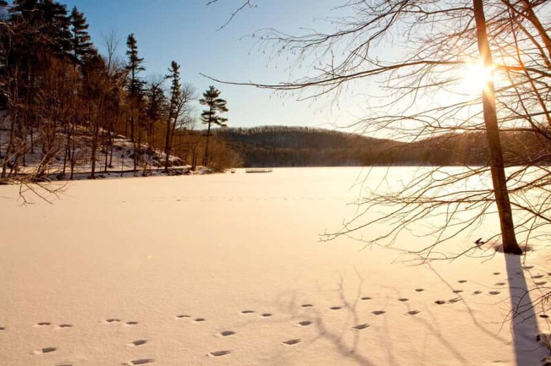 Montreal: Mont-Saint-Bruno National Park Entry and Fatbiking - An Overview of the Fatbike Experience at Mont-Saint-Bruno