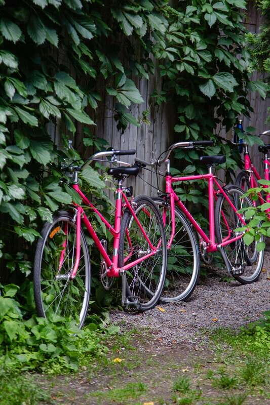 Montreal: Non Touristy Pink Bike Tour - Final Thoughts