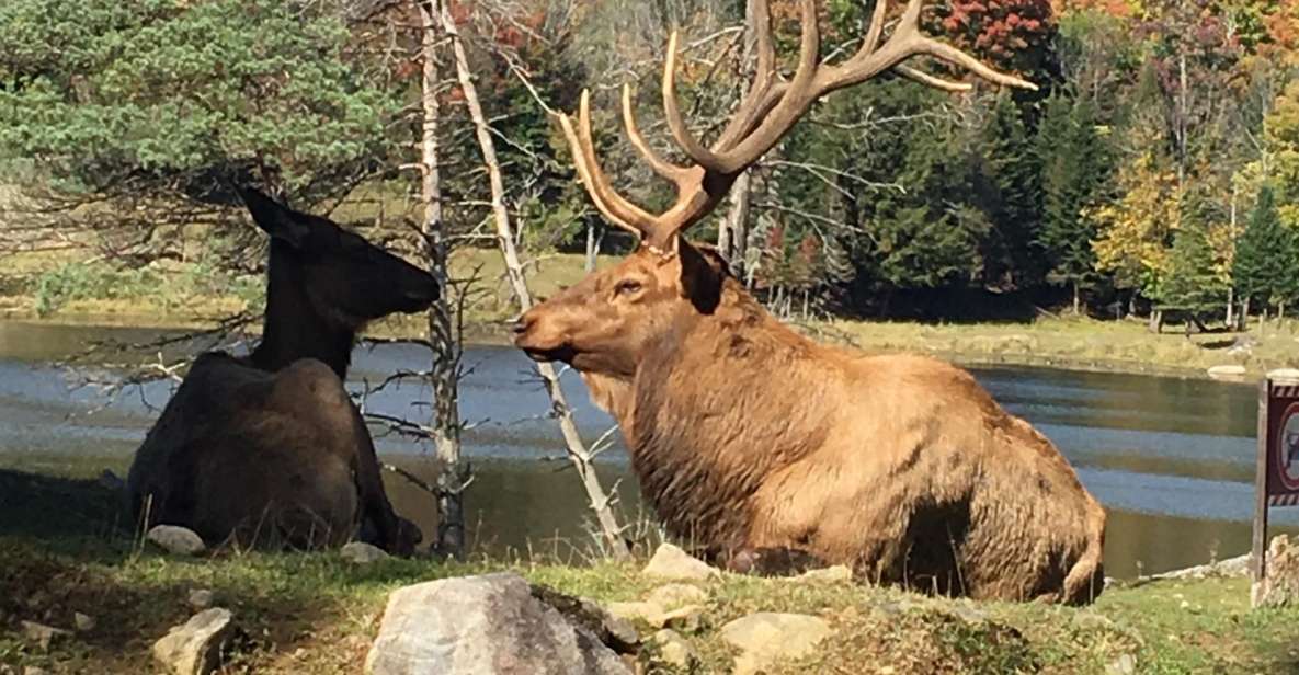 Montreal: Private Day Tour to Parc Omega & Montebello Lodge - About Omega Park