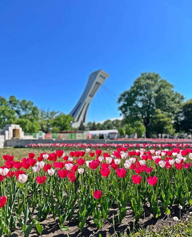 Montreal Private Walking Tour 2h Plus Video Experience 360° - A Practical and Balanced Review of the Montreal Private Walking Tour