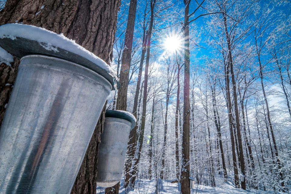 Montreal: Sugar Shack Maple Syrup Day Trip With Lunch - Alcoholic Drinks and Extras