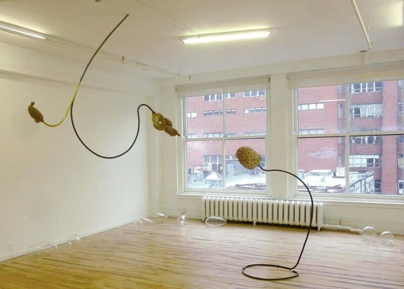 Montreal: The Belgo Galleries Guided Tour - FAQ  