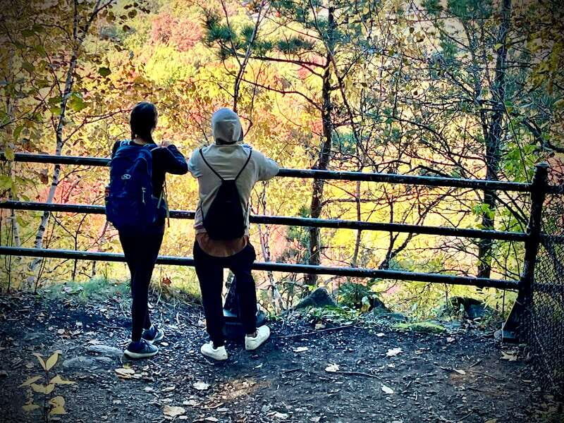 Montreal's Mount Royal Tour - The Sum Up