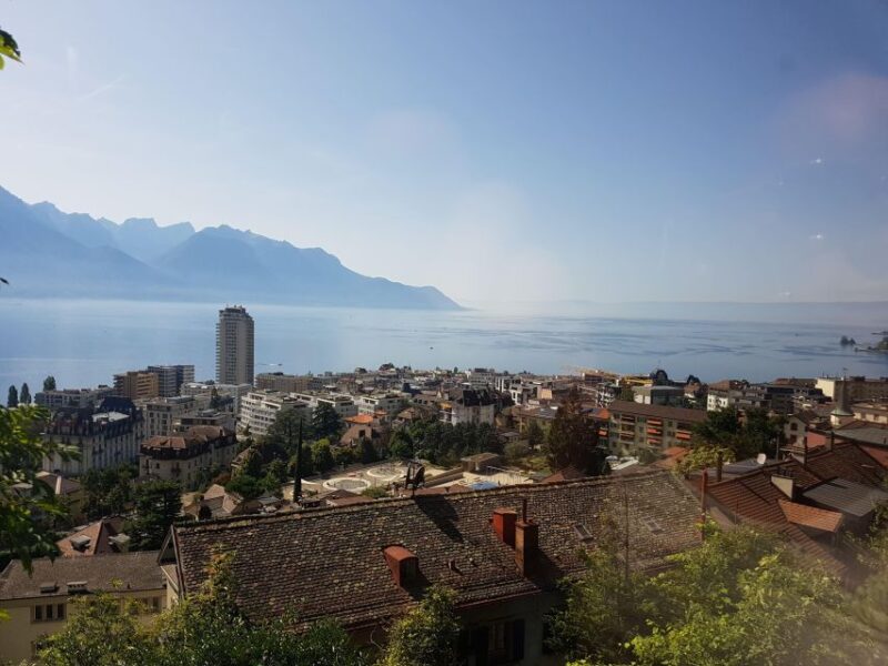 Montreux to Rochers-de-Naye: Alpine Adventure Ticket - Marmot Paradise Observation