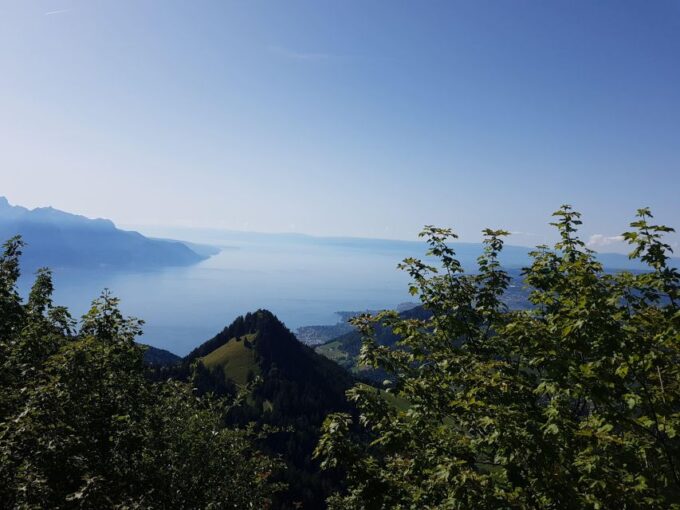 Montreux to Rochers-de-Naye: Alpine Adventure Ticket - Customer Reviews and Ratings