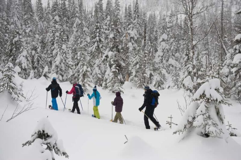 Monts-Valin National Park: Snowshoe Rental & Entry Ticket - The Trail Options