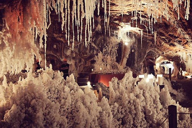 Montserrat Cardona and Salt Mountain Private Tour - Breathtaking Views From Montserrat