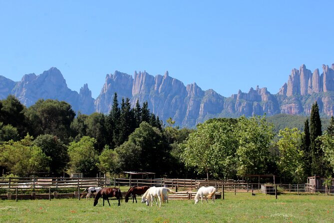 Montserrat Horseback Riding & Monastery Small Group Tour - Inclusions and Meeting Details