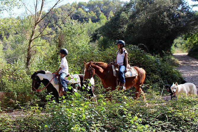 Montserrat Horseback Riding & Monastery Small Group Tour - Horseback Riding Experience