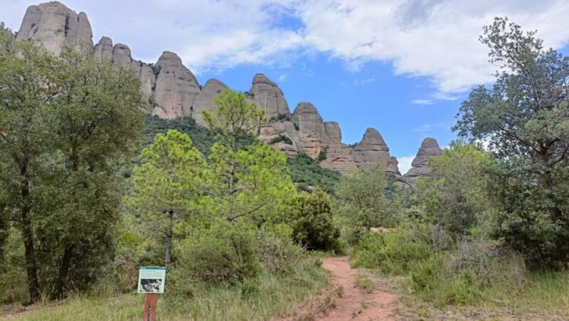 Montserrat: Monastery & More! Tailored Private Tour - Itinerary and Activities
