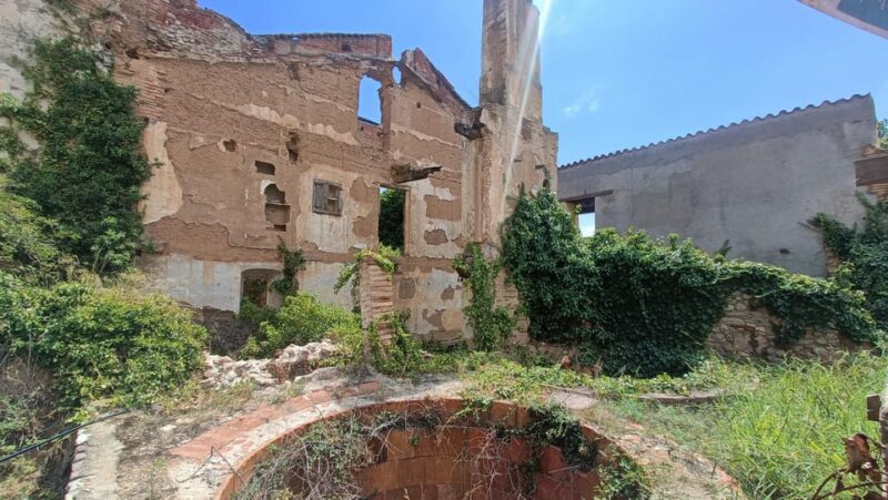 Montserrat: Monastery & More! Tailored Private Tour - Art Museum of Montserrat