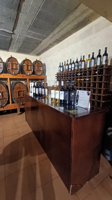 Montserrat: Monastery & More! Tailored Private Tour - Family-Run Winery Visit