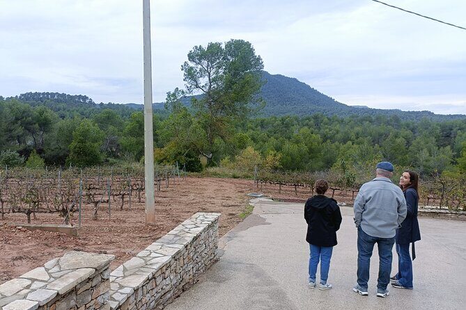 Montserrat tailored private tour: Monastery, winery & more! - Who Will Love This Tour?