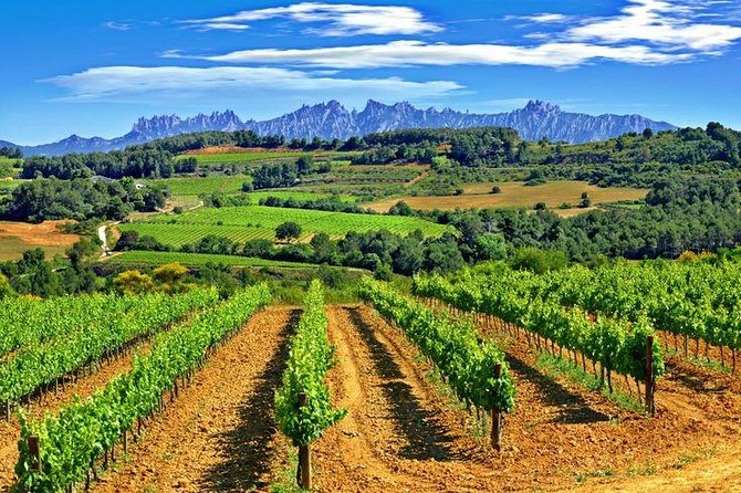 Montserrat,Vineyard, Wine Tasting Small Group Tour & Hotel Pickup - Tour Availability and Accessibility