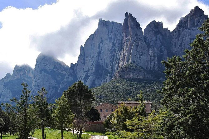 Montserrat,Vineyard, Wine Tasting Small Group Tour & Hotel Pickup - Customer Reviews
