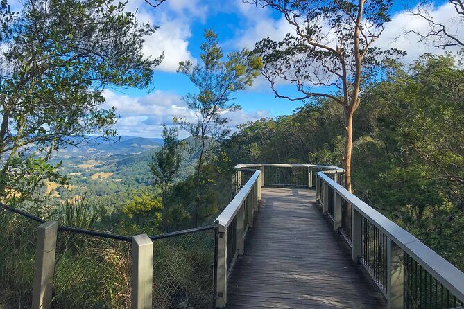 Montville, Maleny and Sunshine Coast Hinterland Tour with Lunch - Exploring the Itinerary in Detail