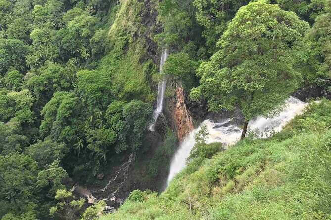 Montville, Maleny and Sunshine Coast Hinterland Tour with Lunch - FAQ