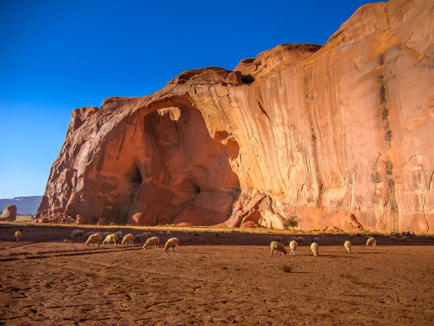 Monument Valley 4x4 Navajo Guided Tour - Key Points