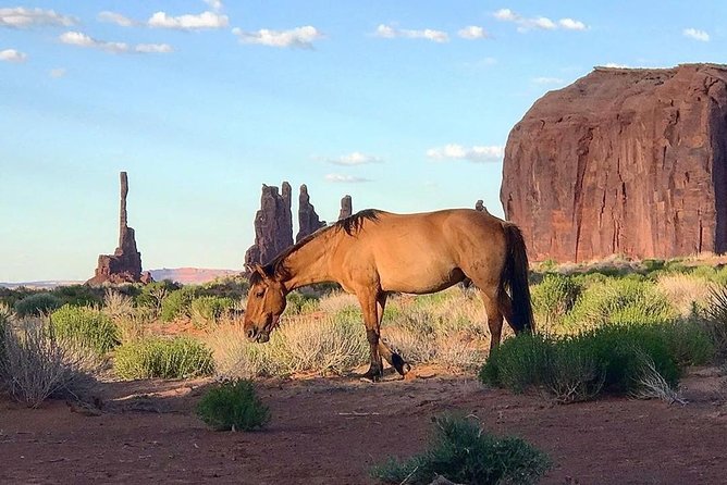 Monument Valley Daytime Tour - 3 Hours - Navajo Spirit Tours - Frequently Asked Questions