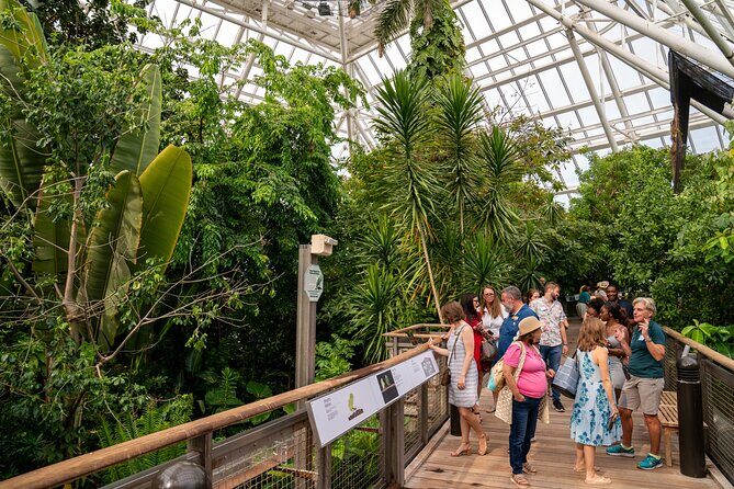 Moody Gardens General Admission - Aquarium & Rainforest - Overview of the Experience