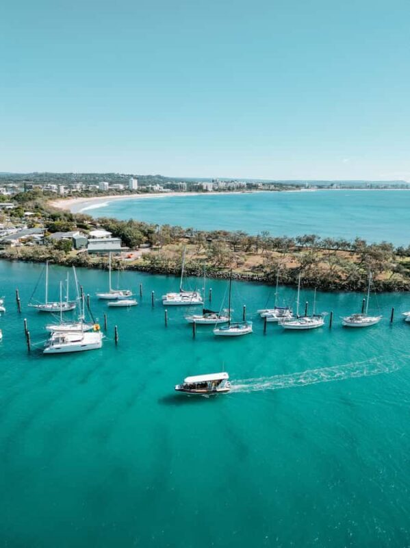 Mooloolaba: Adventure Rafting Turtle Tour - What to Expect: An In-Depth Look at the Tour