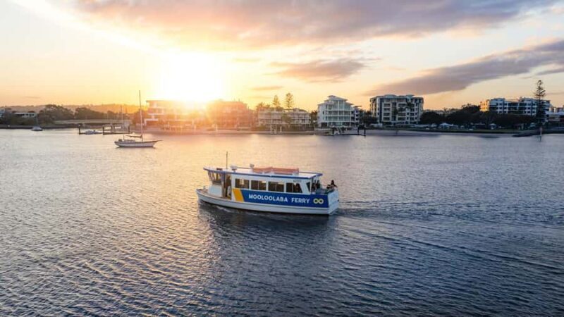 Mooloolaba: Hop-On Hop-Off Ferry Return Ticket - An Introduction to Mooloolaba’s Water-Based Adventure