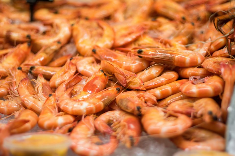 Mooloolaba: Seafood Lunch Cruise - Frequently Asked Questions
