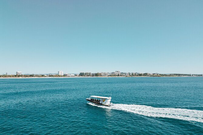 Mooloolaba Whale Watching  Small Group Tour - Summary: Who Is This Tour Best For?