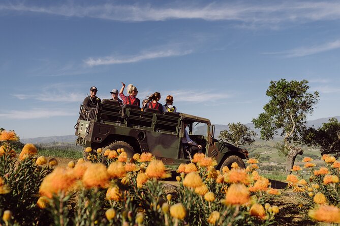 Moonlight Zipline Tour Near Santa Barbara - Booking Information and Pricing
