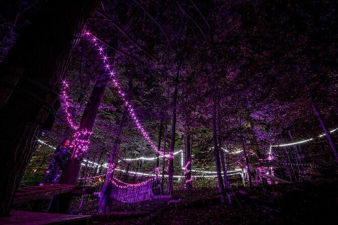 MoonTrek Nighttime Aerial Adventure - Key Points