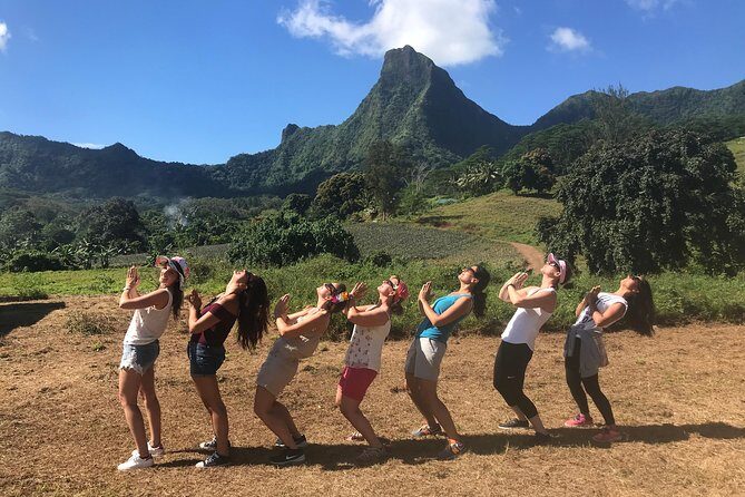 Moorea 4WD Tour Inc. Belvedere, Pineapple Farm, Magic Mountain... - Price and Value: Is It Worth It?